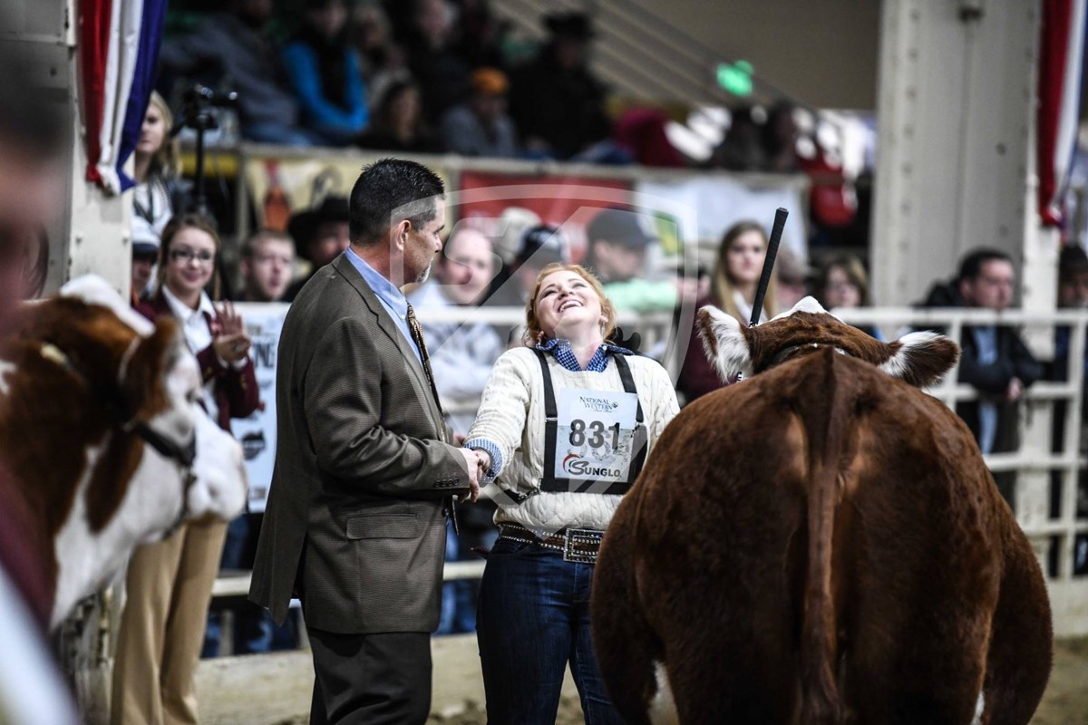 People near the bull
