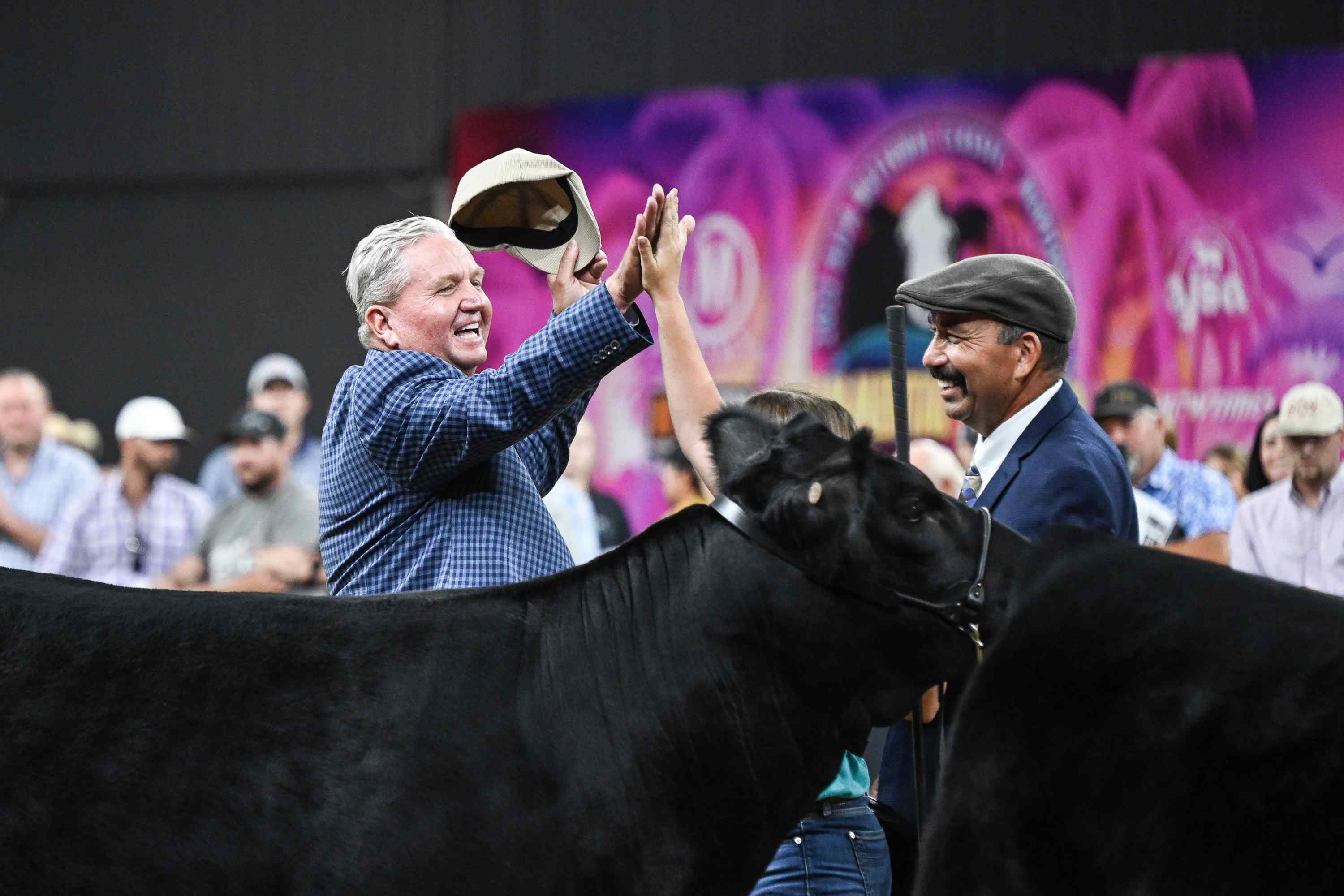 Simmental Summer Official Media Partner