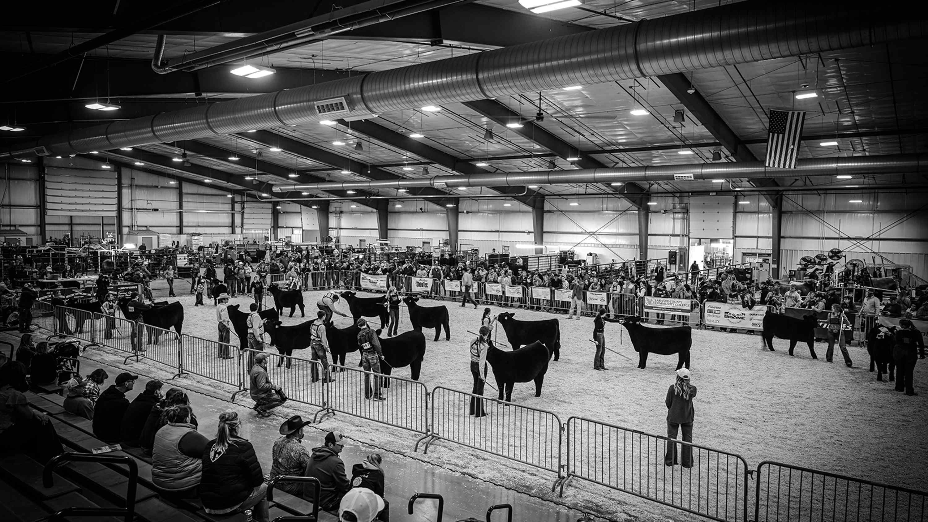 Cheyenne Livestock Expo Media Partner