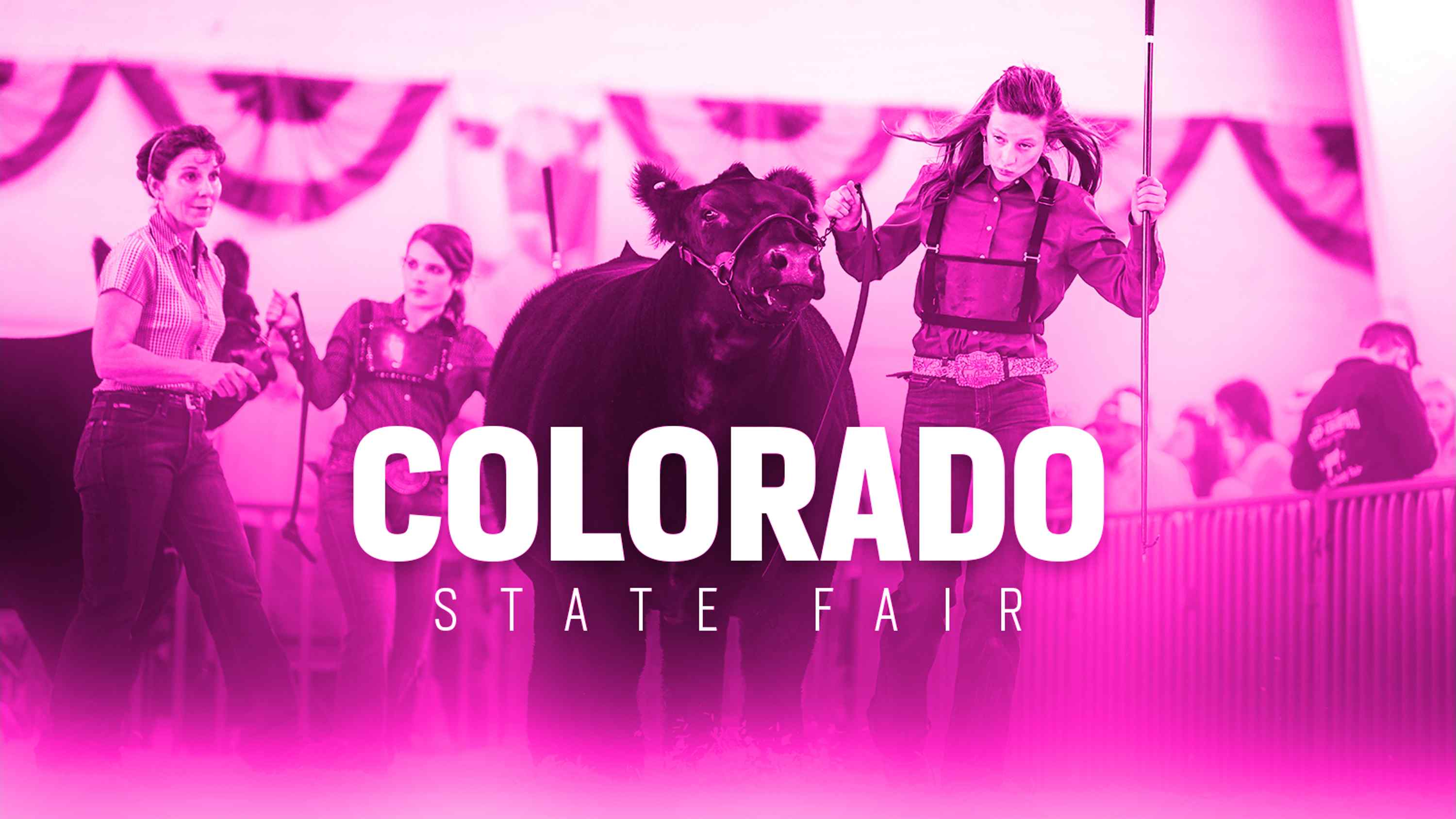 Modified Show and Sale in Pueblo