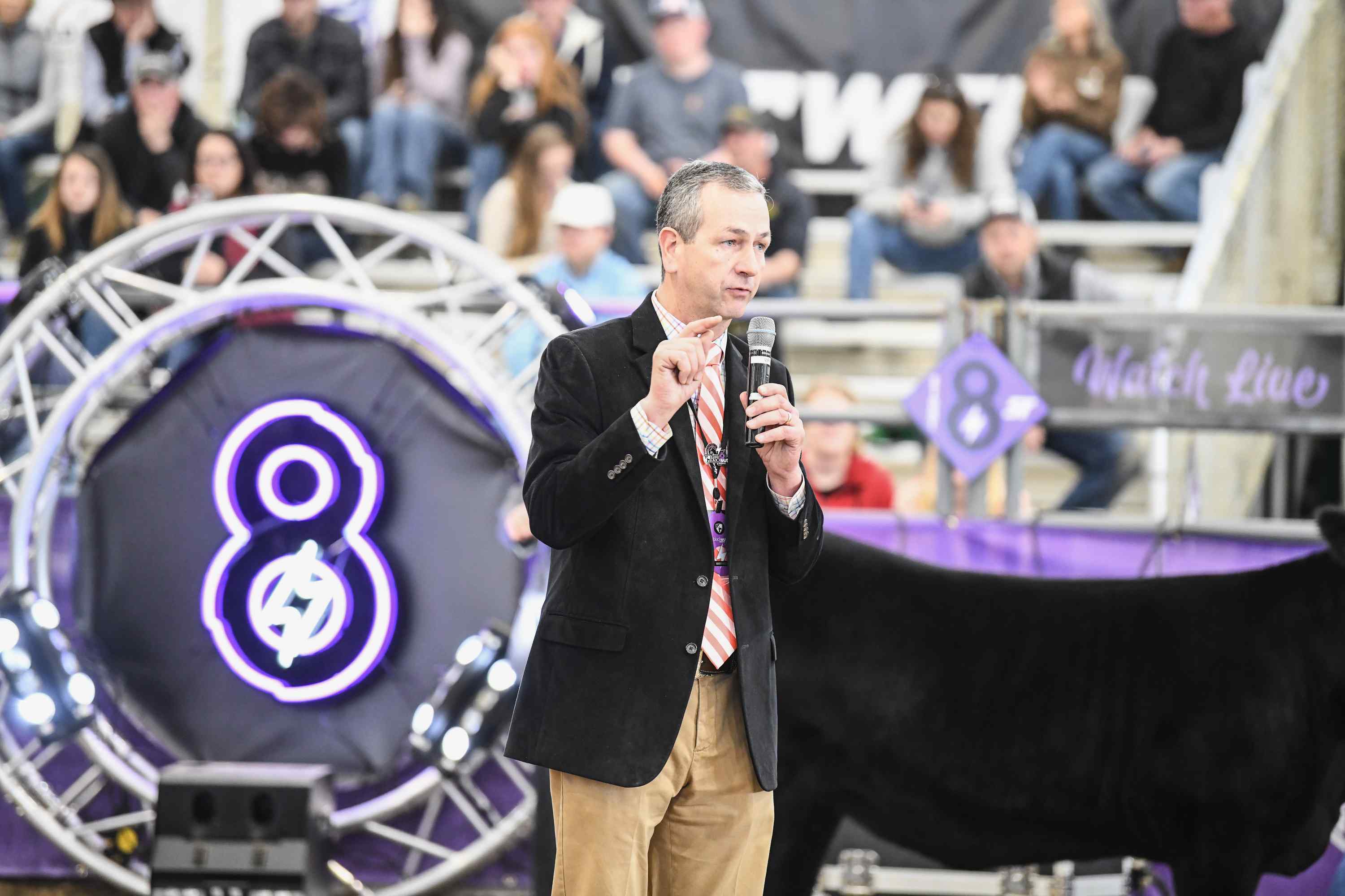 Blackout 8 a Success