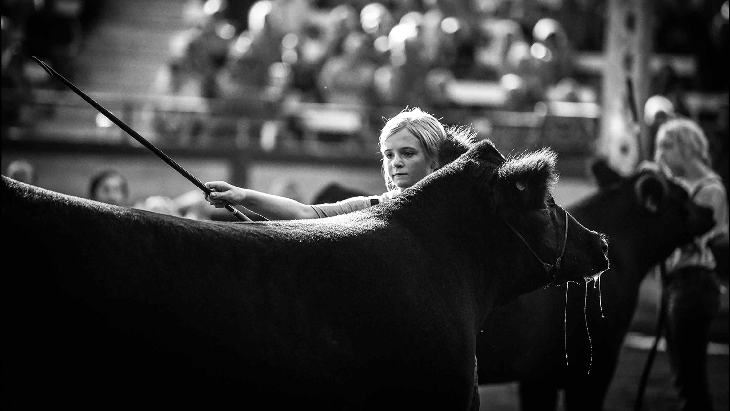 2021 Iowa State Fair