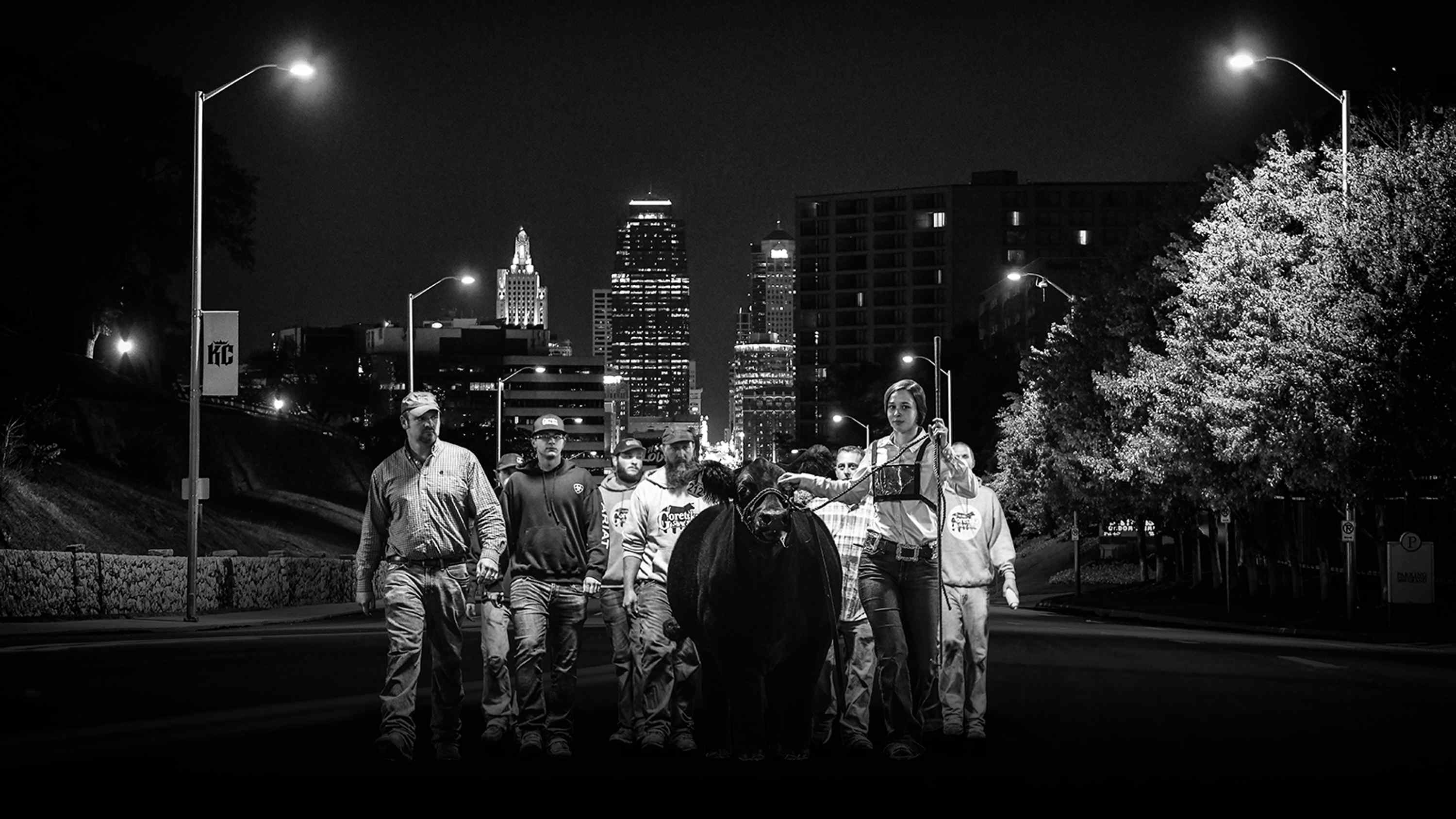 American Royal Livestock Sponsor