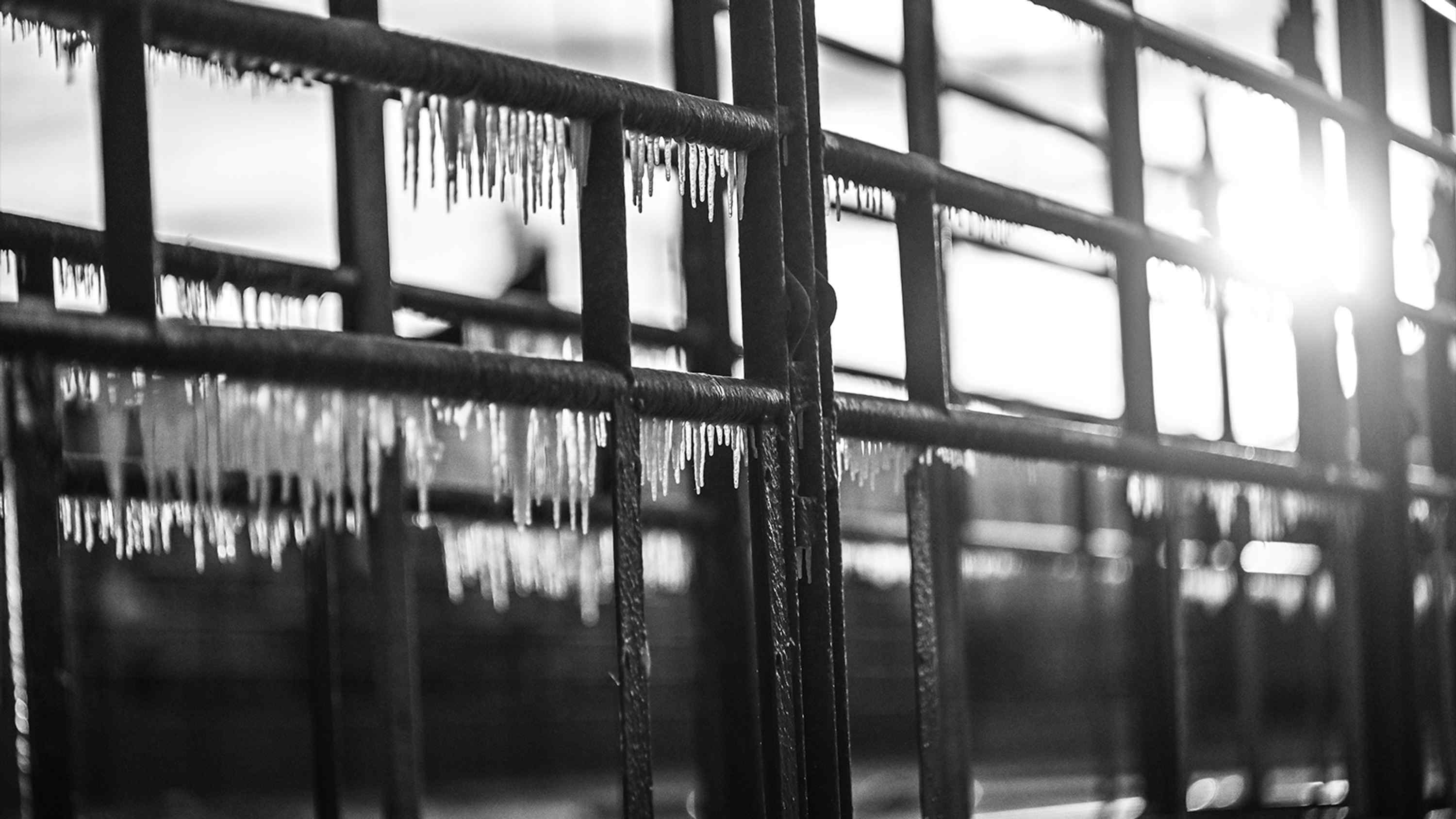 2024 NWSS Livestock Media Partner